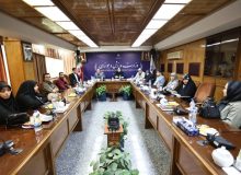 تعامل سه نسل سمن های جوانان در قالب شبکه های تخصصی