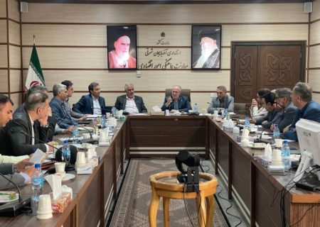 تأکید معاون اقتصادی استاندار بر تأمین نهاده‌های دامی و استفاده از ظرفیت بازرگانان